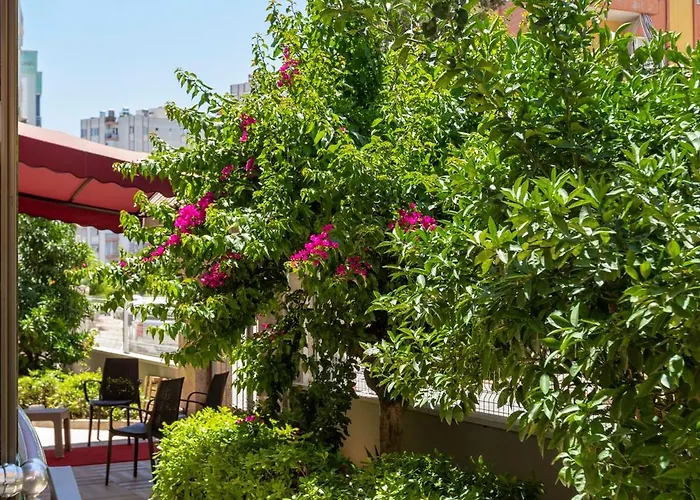 Διαμέρισμα Toprak *